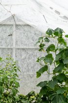 skyggenet til drivhus