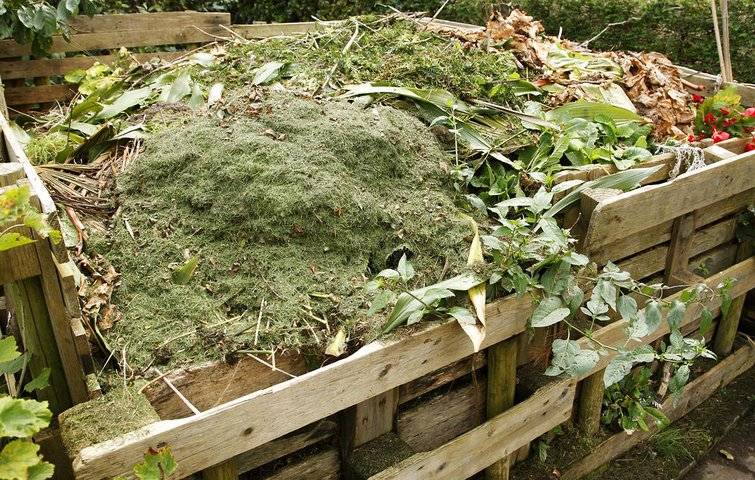 Forladt campingvogn lanthan Lav din egen super-kompost: Få opskriften på den bedste kompost her