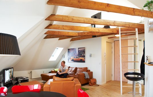 røveri hjul snyde Arkitektoniske muligheder, når du inddrager loftet til beboelse