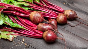 Dyrk rødbeder i køkkenhaven, højbed eller krukker