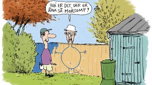 Må du frit male plankeværket på din side af skel?