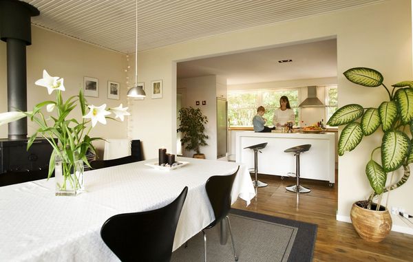 Hvordan får jeg mine stueplanter til at holde længe?