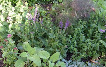 Få plads til leg, grøntsager og blomster: 48 tips til indretning af ... Blomster til terrassen