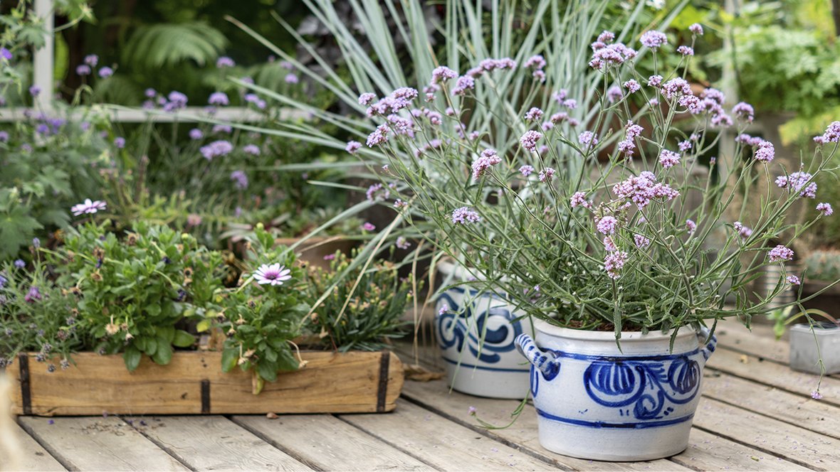 Udendørs krukker til altan og terrasse – skal du vælge, og planter kan du dyrke