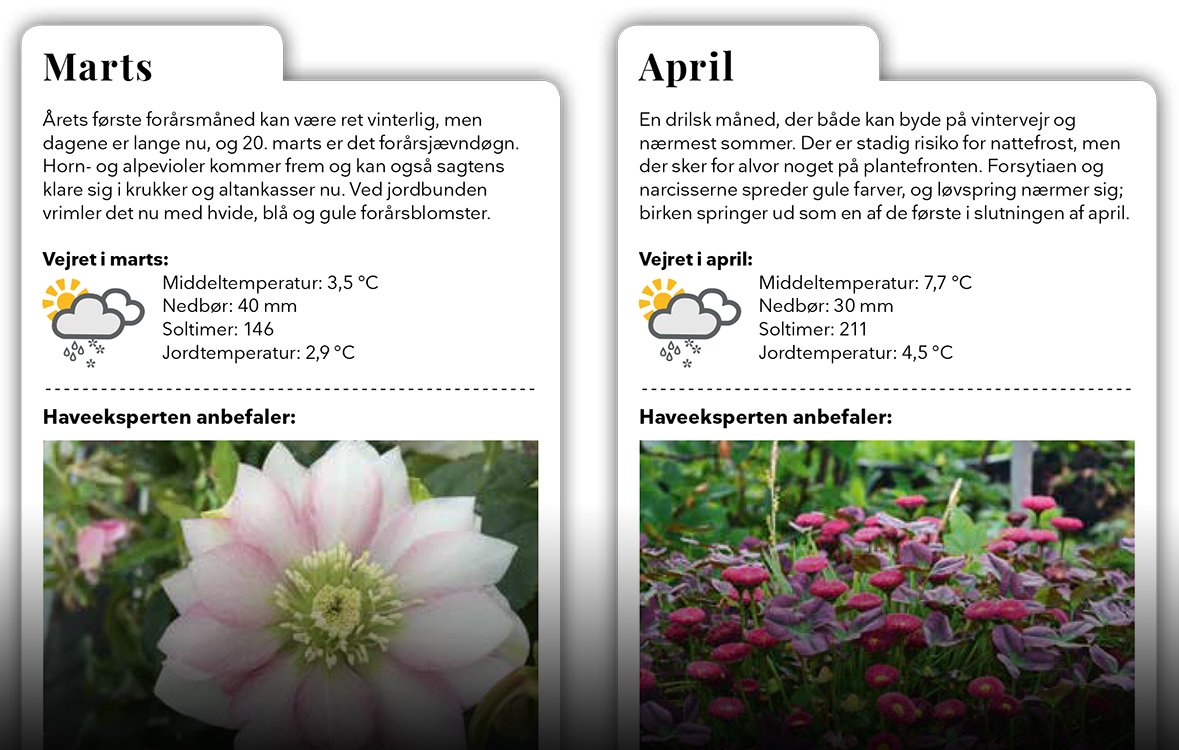 Fabel Bering strædet Synes godt om Guide: Smukke planter året rundt
