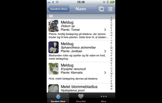 App Til Genkendelse Af Planter