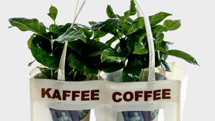 Dyrk kaffe i haven eller boligen