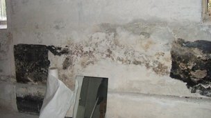 4 gode råd før du køber en bolig med skimmelsvamp