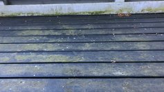 Hvordan fjerner du alger fra træværk?