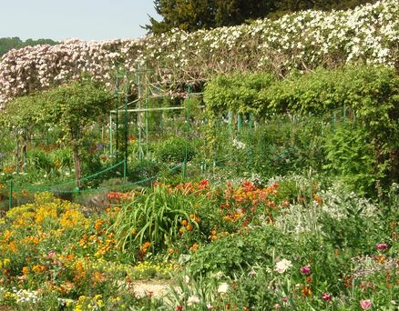 Monets have Monets blomster billeder