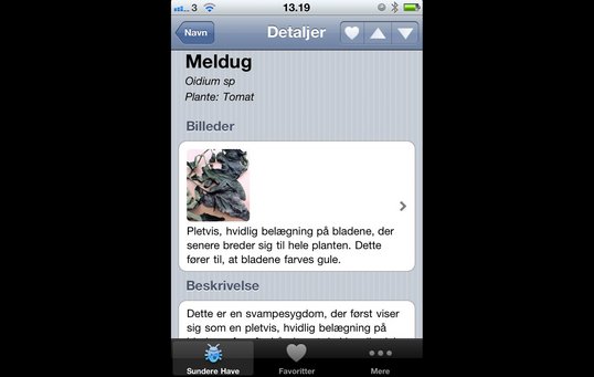 App Til Genkendelse Af Planter