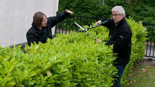 Må du klippe hækken ind til naboen, som du vil?