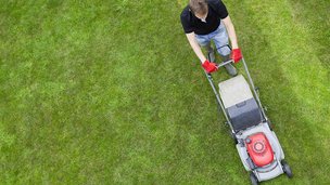 Må du slå græs kl. 6 om morgenen?