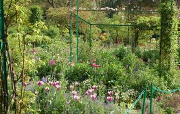 Monets have Monets blomster billeder